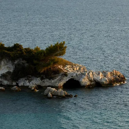 The Wildt - Exclusive Coastal Living Vila *