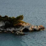 The Wildt - Exclusive Coastal Living Villa *